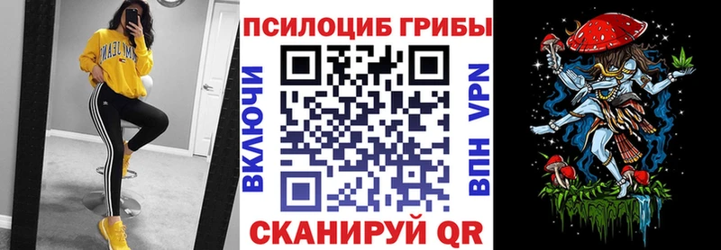 Псилоцибиновые грибы Cubensis Пионерский