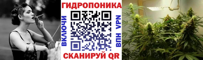 гидра ONION  Пионерский  Конопля Amnesia 